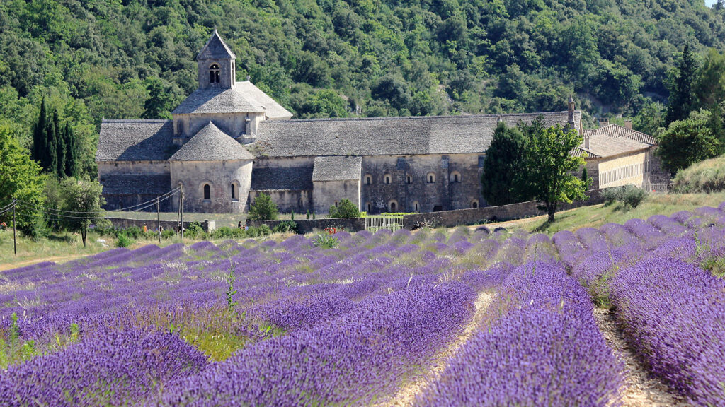 Abbaye de Sénanque à Gordes - Lubéron