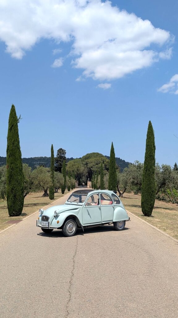 Rallye 2CV dans le Lubéron - allée de cyprès typique